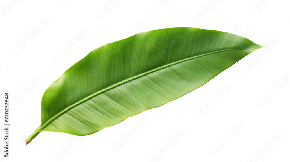 Obraz premium Asphalt road,isolated on transparent and white background.PNG image.