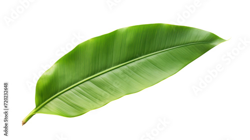 Asphalt road isolated on transparent and white background.PNG image.