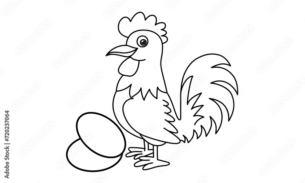 rooster isolated on white rooster isolated on white