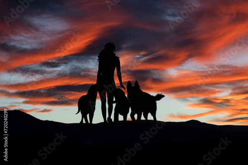 Silhouette of a woman walking with dogs in the landscape at sunset. Nature with robins.
