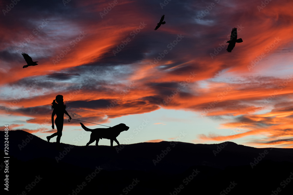 Silhouette of a woman walking with dog in the landscape at sunset. Nature with robins.