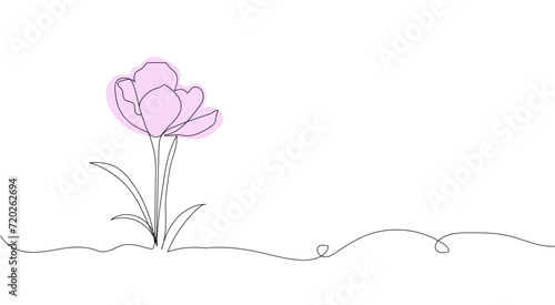 saffron flower line art. Hand drawing. For background, card, invitation, print and other design