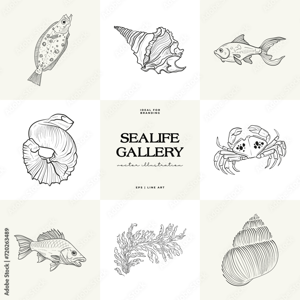 Ocean and Sea, Botanica illustration. Black ink, line, doodle style. Ocean and Sea, Botanica illustration. Black ink, line, doodle style.