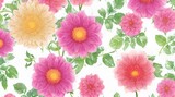 Seamless pattern with colorful dahlia flowers on white background