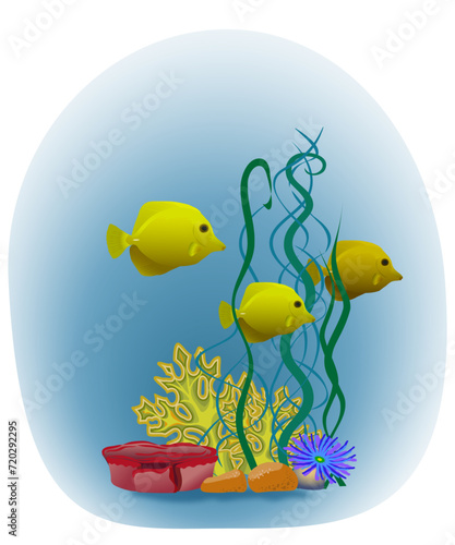 Tropical fish with underwater seaweed, shells and corals. Vector illustration	