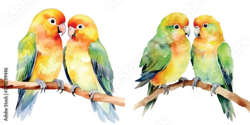 cute Watercolor A pair of Lovebirds