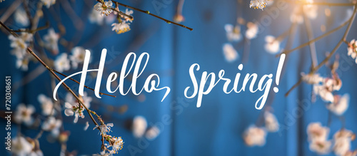spring banner with inscription hello spring with flowers, beginning of spring