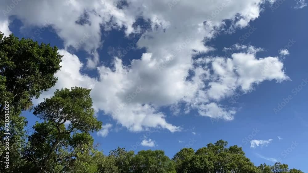 Timelapse video of clouds on a beautiful blue sky day - trees make up the landscape Timelapse video of clouds on a beautiful blue sky day - trees make up the landscape
