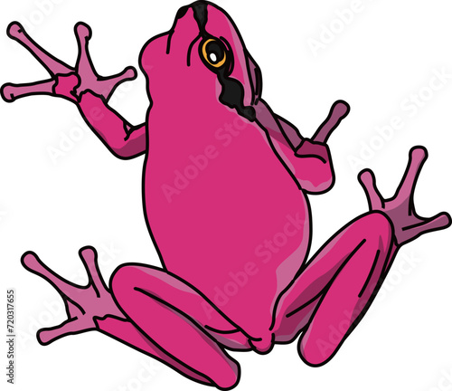 カエル（frog）(eps)