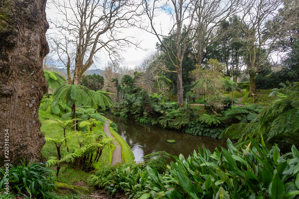 Obraz premium Park Terra Nostra in the island of São Miguel in Azores - Portugal