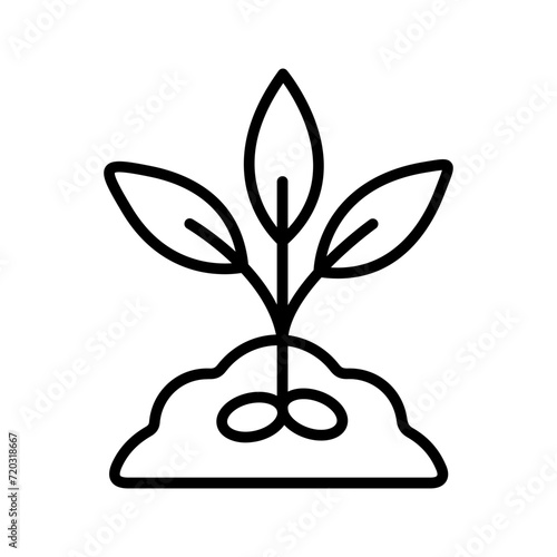 Seed Vector Icon