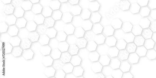 Abstract White Hexagonal Background. Luxury White Pattern. Vector Illustration.abstract honeycomb technology mosaic white background. geometric mesh cell texture.Abstract honeycomb background. 