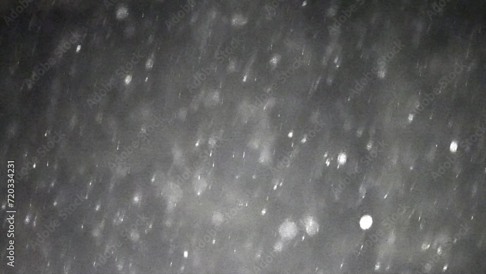 The atmosphere of the forest on a snowy winter night The atmosphere of the forest on a snowy winter night
