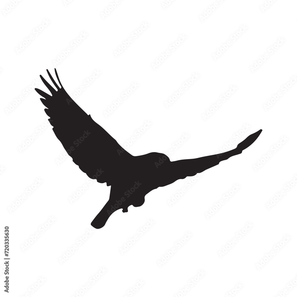 bird silhouettes white background. Vector illustration bird silhouettes white background. Vector illustration