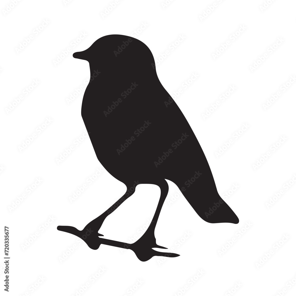 bird silhouettes white background. Vector illustration bird silhouettes white background. Vector illustration