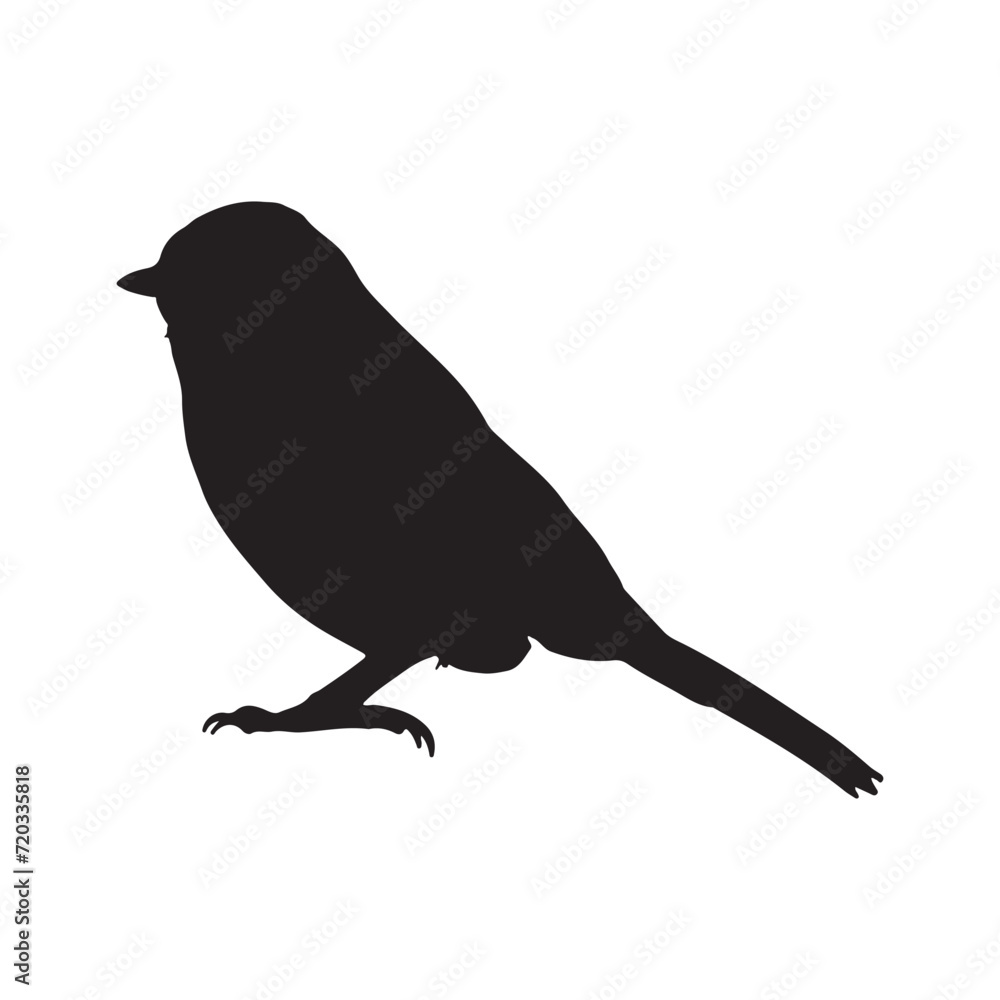 Fototapeta premium bird silhouettes white background. Vector illustration