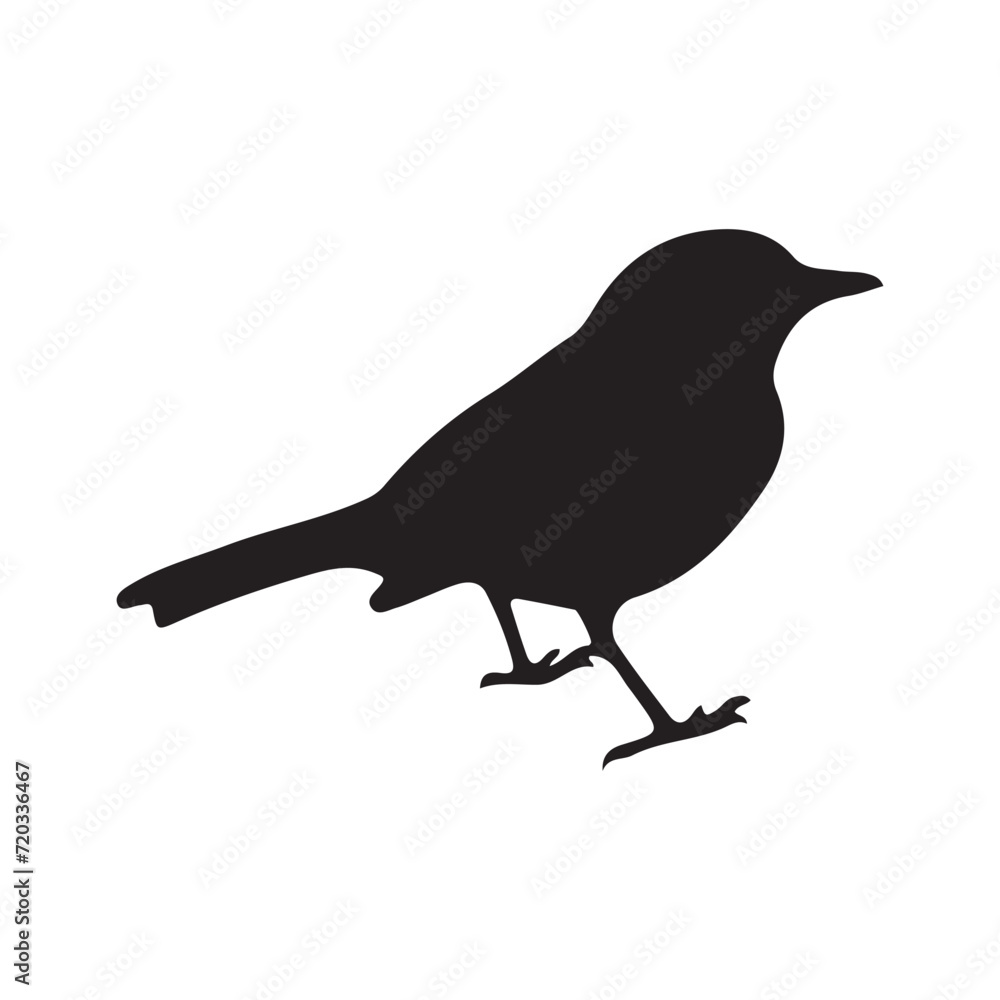 Obraz premium bird silhouettes white background. Vector illustration