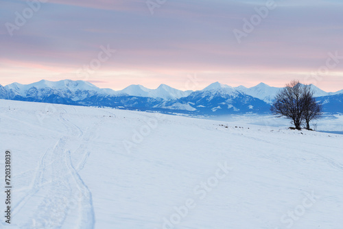 Peaceful view of a snow-covered meadow and a mountain range in the background.
