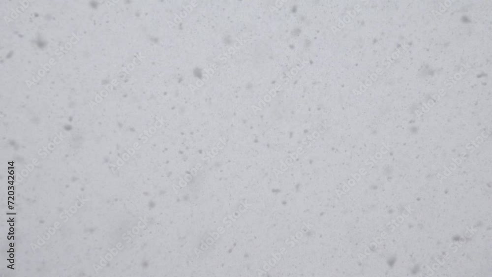 Snowing, Winter Scene on Sky, Snowstorm First Snow Fall, Clouds, Cloudy Day, Children's Joy Snowing, Winter Scene on Sky, Snowstorm First Snow Fall, Clouds, Cloudy Day, Children's Joy