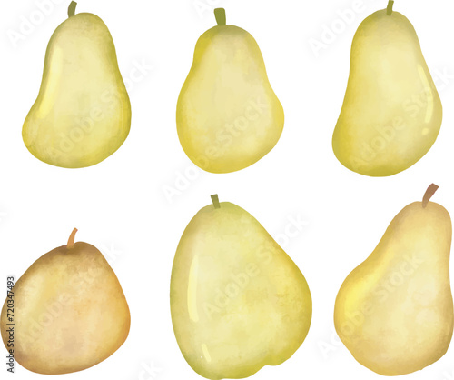 Vector hand drawn set of pears, watercolor set of pears, hand drawn watercolor set pf pears, pears clip art