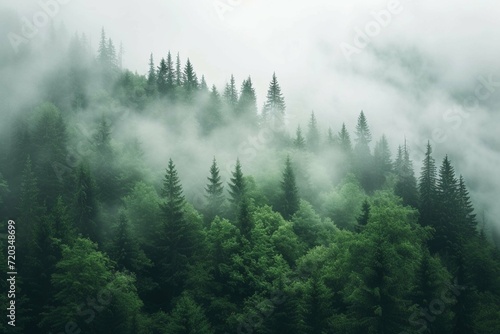Misty landscape with fir forest in hipster vintage retro style © Amer