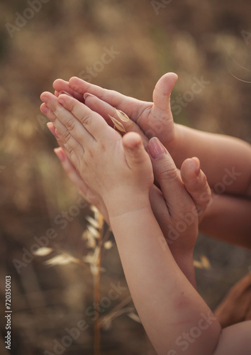 Hands of mom and a child in a wheat field. Transfer of experience in grain cultivation and bread production. hands on a nature. mother and her kid enjoying in a countryside scenic. Selective focus.