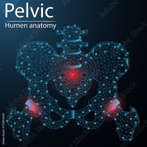 Human bones of the pelvis and hip anatomy organ translucent low poly triangle futuristic glowing. On dark blue background. Skeleton system disease medical innovation concept.