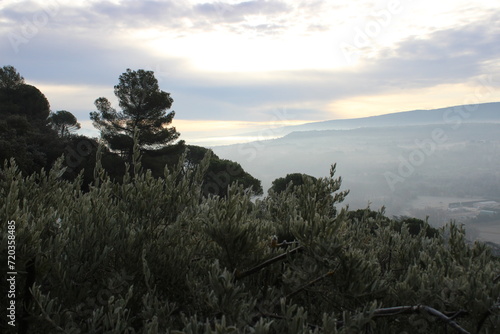 paysages 