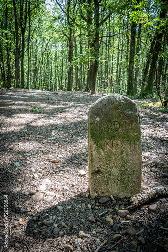 Dardilly, France - 08 05 2023: View of a medieval stone marker in the forest. photo