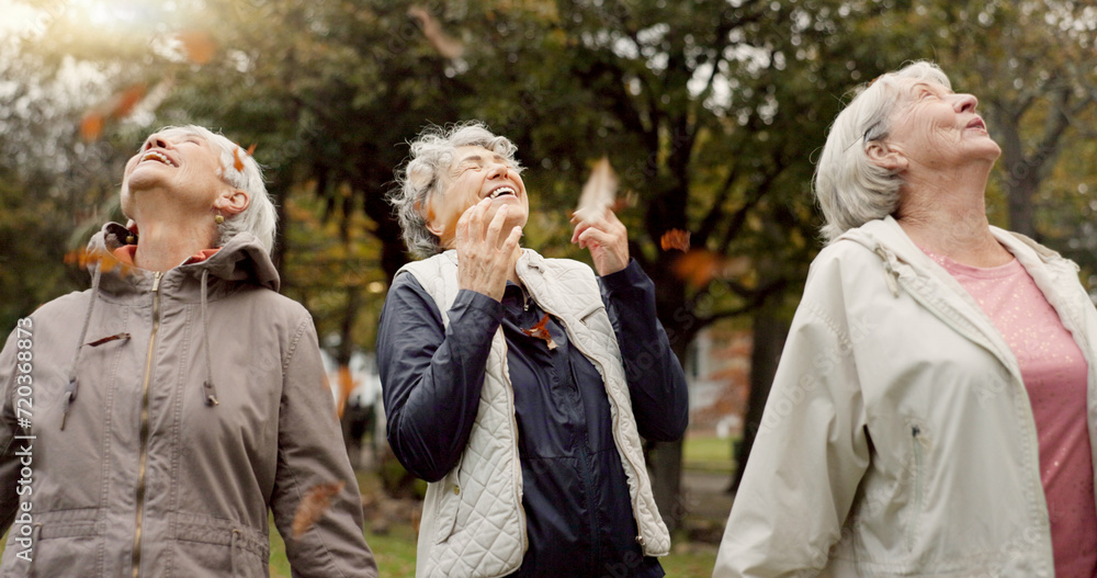 Senior women, friends and throw leaves for comic game, playing or happy together in park for celebration. Group, old people and retirement in nature for funny memory, autumn party or playful in woods Senior women, friends and throw leaves for comic game, playing or happy together in park for celebration. Group, old people and retirement in nature for funny memory, autumn party or playful in woods