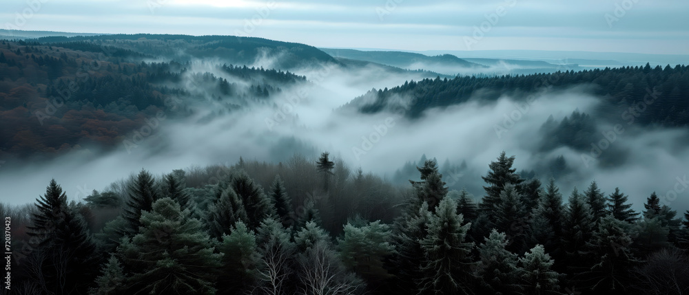 Landscape photo of fir misty forest with fog. Natural esthetic view for environment consciousness.