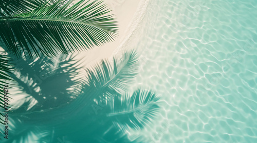 Tropical Serenity: Palm Leaf Shadows on White Sand Beach