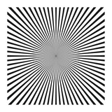 black and white Sunburst Pattern. Vector illustration, sunburst vector,sunburst retro,vintage sunburst