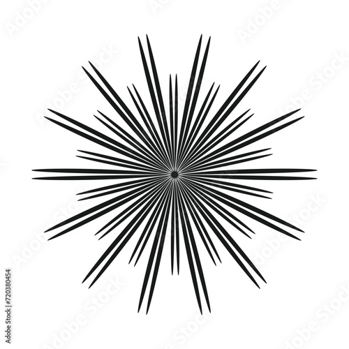 black and white Sunburst Pattern. Vector illustration  sunburst vector sunburst retro vintage sunburst