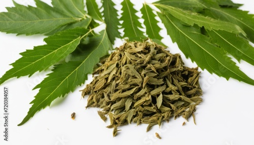 A pile of green leaves and herbs on a white background