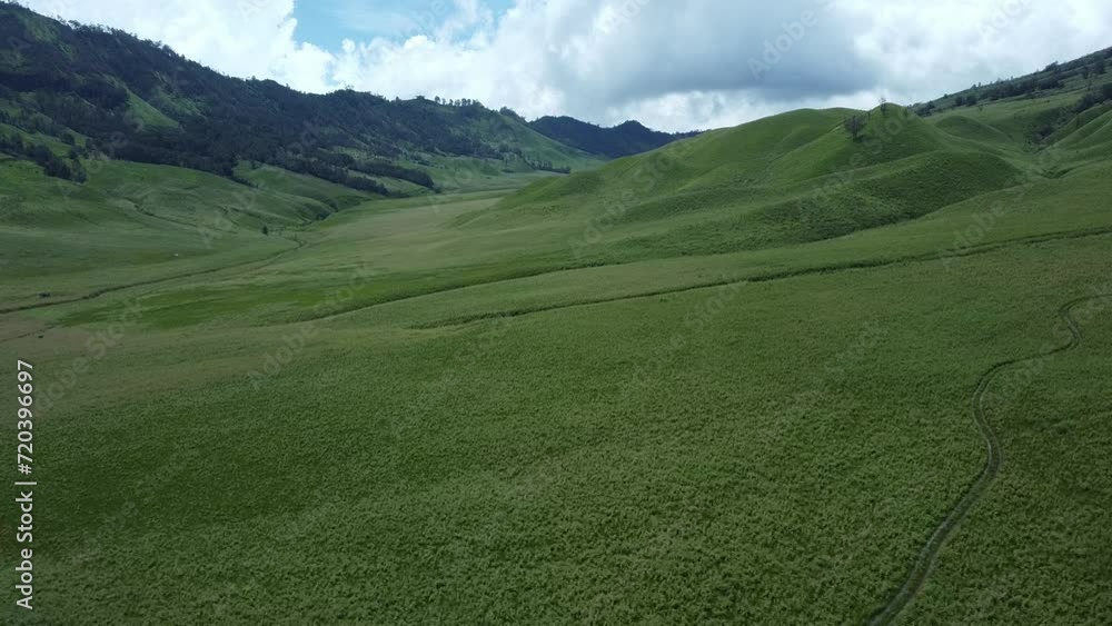 Aerial view of wide and beautiful green meadows. Vast savanna with small paths for pedestrians. Zoom in drone shoot movement of savanna in Bromo areas. Aerial view of wide and beautiful green meadows. Vast savanna with small paths for pedestrians. Zoom in drone shoot movement of savanna in Bromo areas.