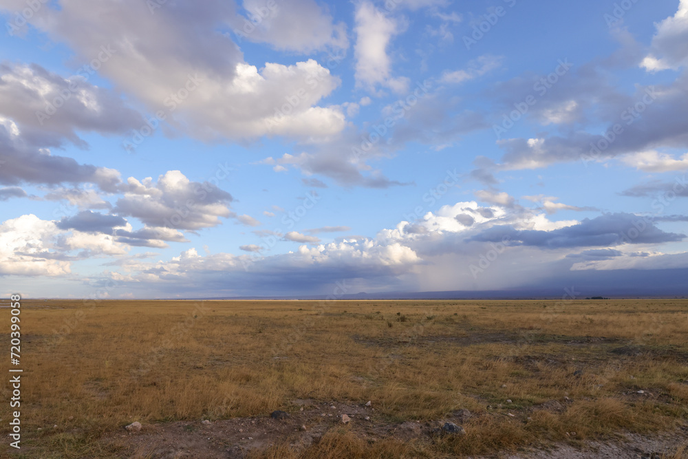 incoming storm in the savannah of Amboseli NP