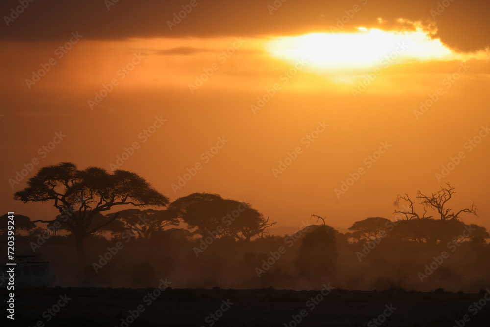 silhouette of acaica trees at sunset in the savannah of Amboseli NP