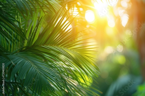 An image of a palm tree in close when the sun is shining. Generative Ai.