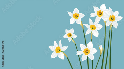 daffodils in sunshine ,flowers in green spring meadow on blurred bokeh background © ksu_ok