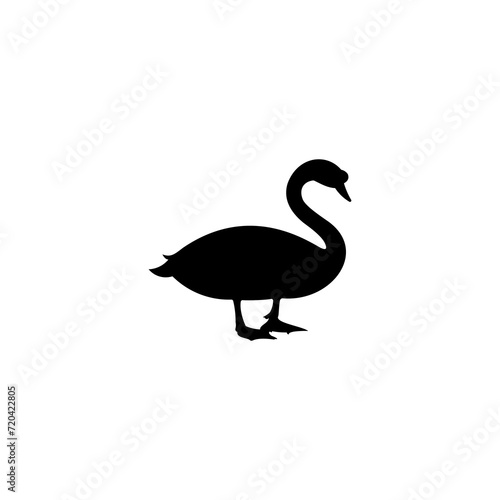 swan logo design