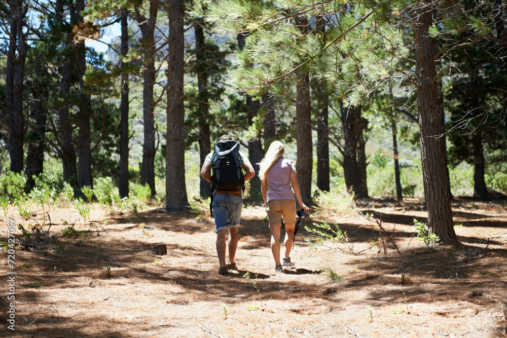 Couple of friends walking, hiking in nature and travel fitness, adventure or cardio in forest with wellness. Back of people trekking with backpack on path, eco friendly and carbon footprint journey Couple of friends walking, hiking in nature and travel fitness, adventure or cardio in forest with wellness. Back of people trekking with backpack on path, eco friendly and carbon footprint journey