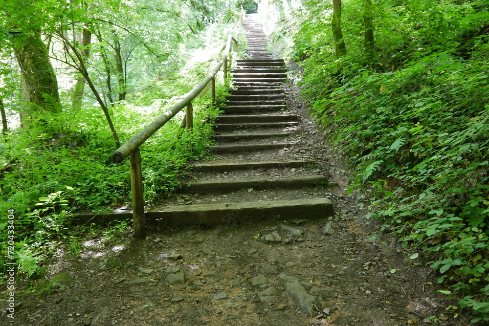 Wanderweg mit Treppe im Wald bei der Saarschleife Wanderweg mit Treppe im Wald bei der Saarschleife