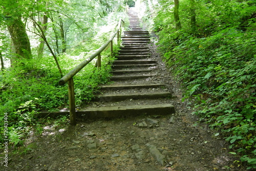 Wanderweg mit Treppe im Wald bei der Saarschleife
