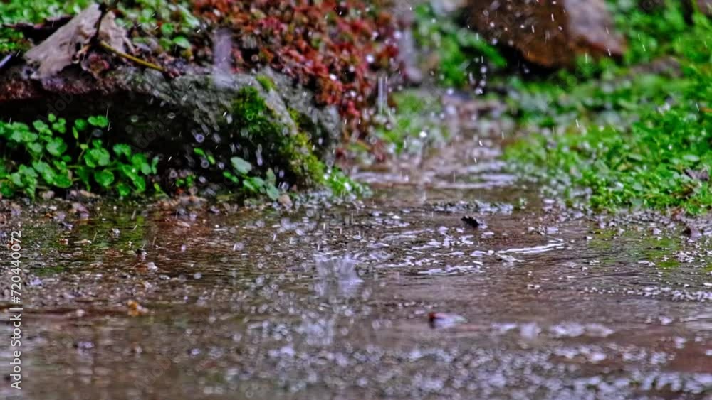 Water drops in 240 frames per second. Clear water ripping on the concrete or ground. Slow motion. Water drops in 240 frames per second. Clear water ripping on the concrete or ground. Slow motion.
