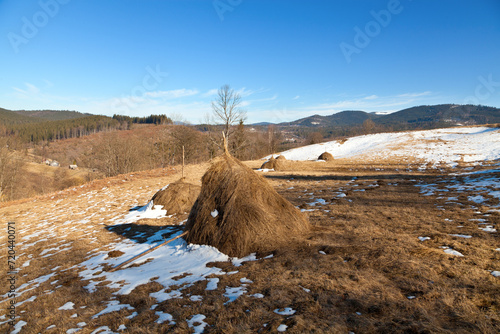 Wallpaper Mural Haystacks on the meadow in spring, snow on the hills under blue sky. Ukraine, Carpathians. Torontodigital.ca