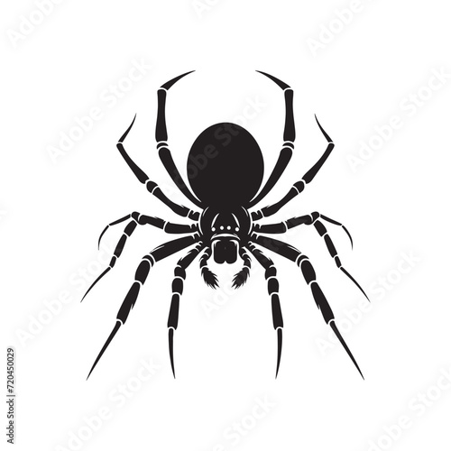 Graceful Predators: Spider Silhouette Set Showcasing the Grace and Poise of Nature's Silent Hunters - Spider Illustration - Spider Vector - Insect Silhouette 