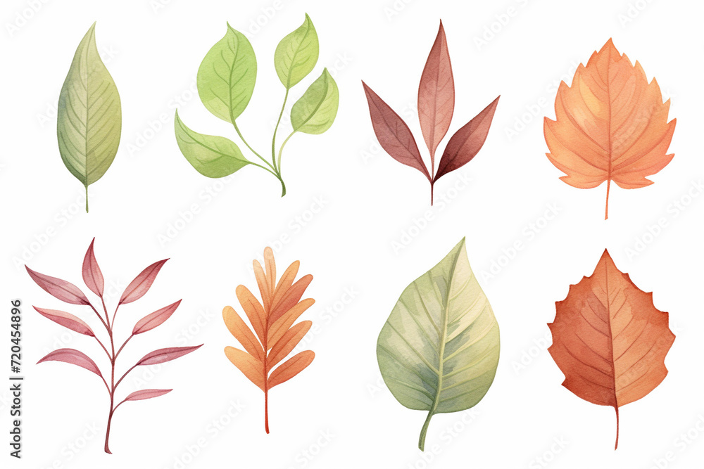 A collection of various leaves showing realistic textures and colors , cartoon drawing, water color style