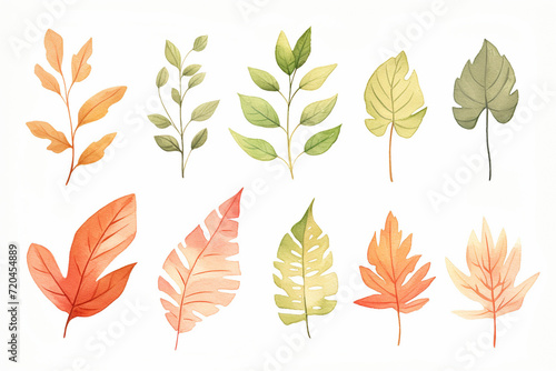 A collection of various leaves showing realistic textures and colors , cartoon drawing, water color style © Watercolorbackground