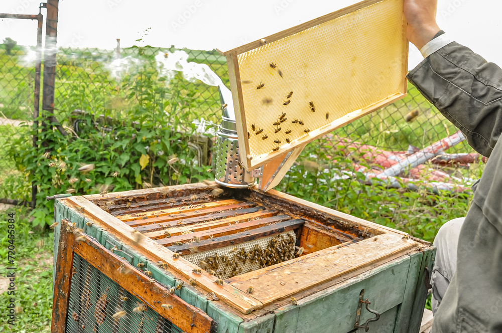 Working bees on honeycomb Working bees on honeycomb